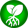 Bare Root Gardening Home