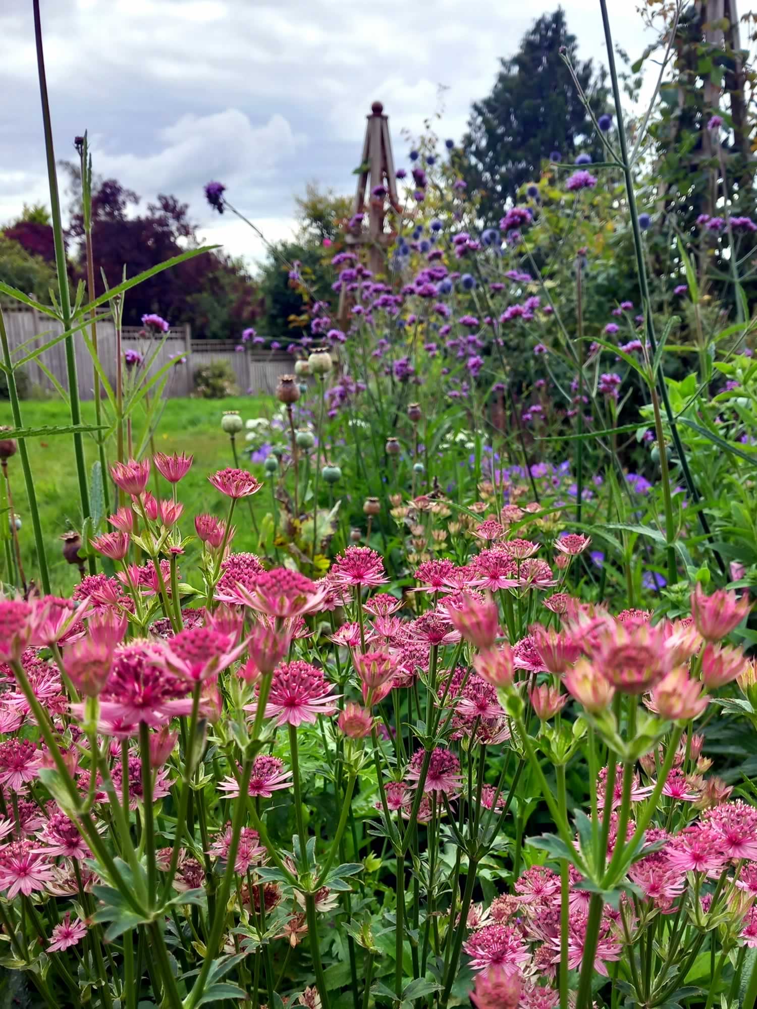 Wild and formal purple spectrum mixed summer flower border (6)